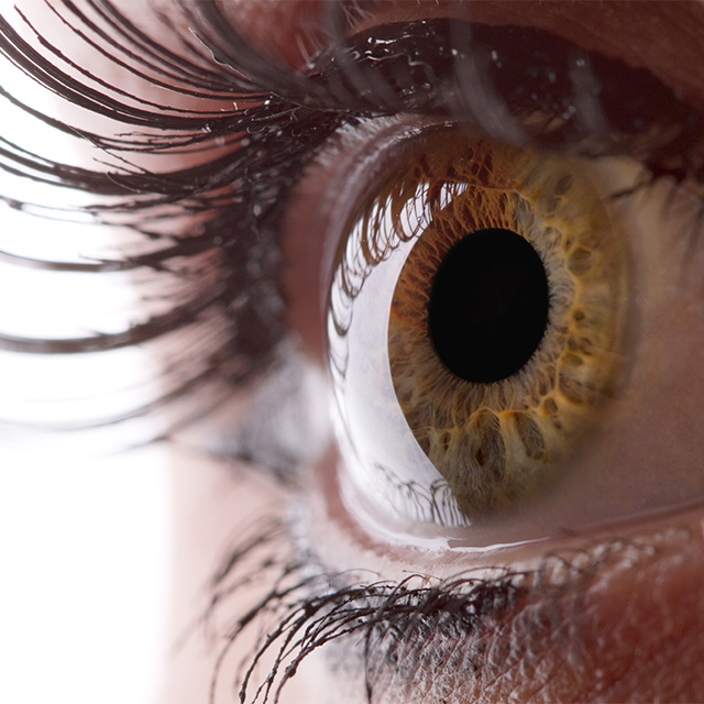 eye